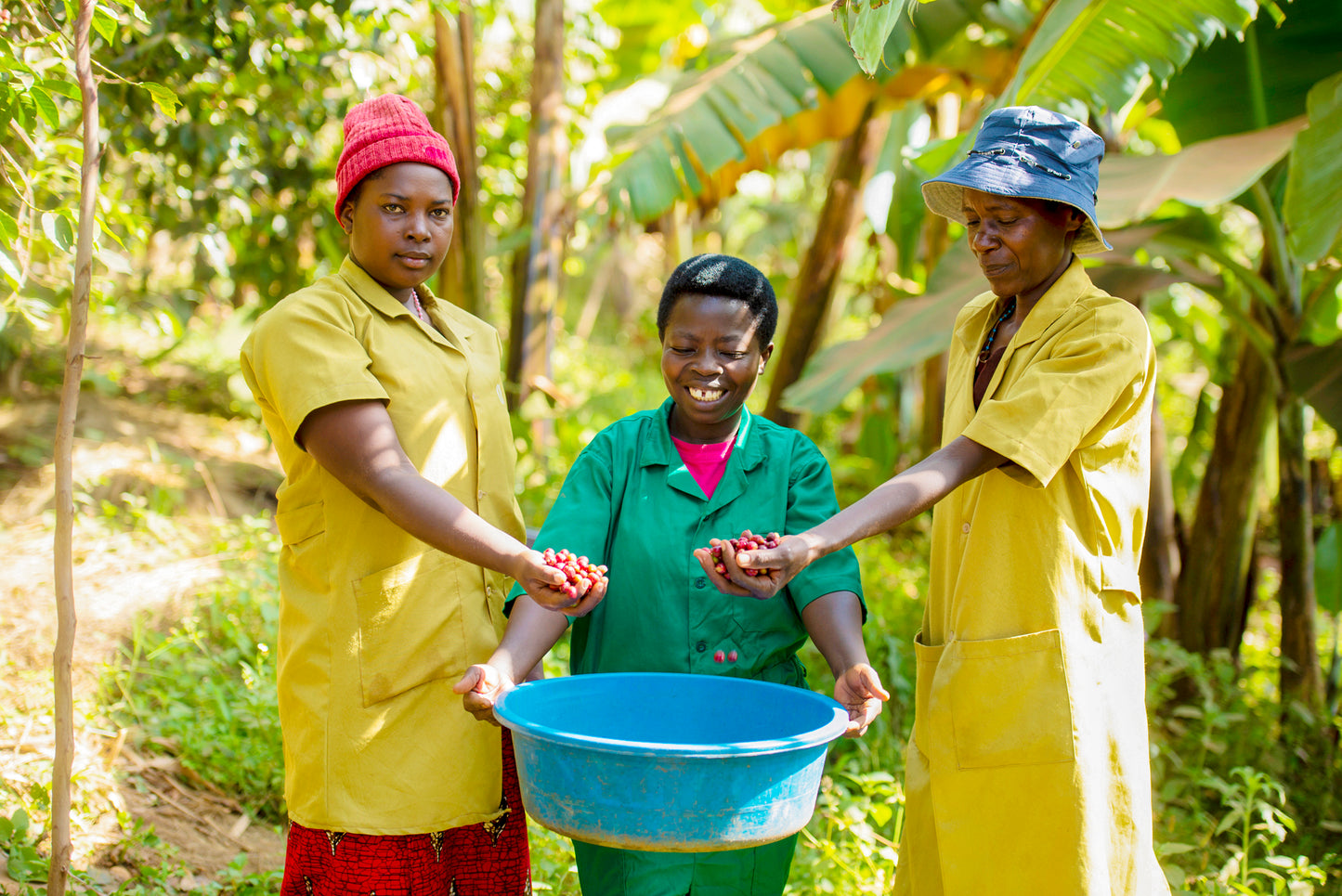 Musasa Dukunde Kawa CO2 Decaf - Rwanda