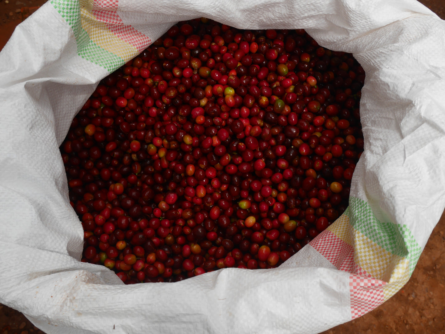 Musasa Dukunde Kawa CO2 Decaf - Rwanda