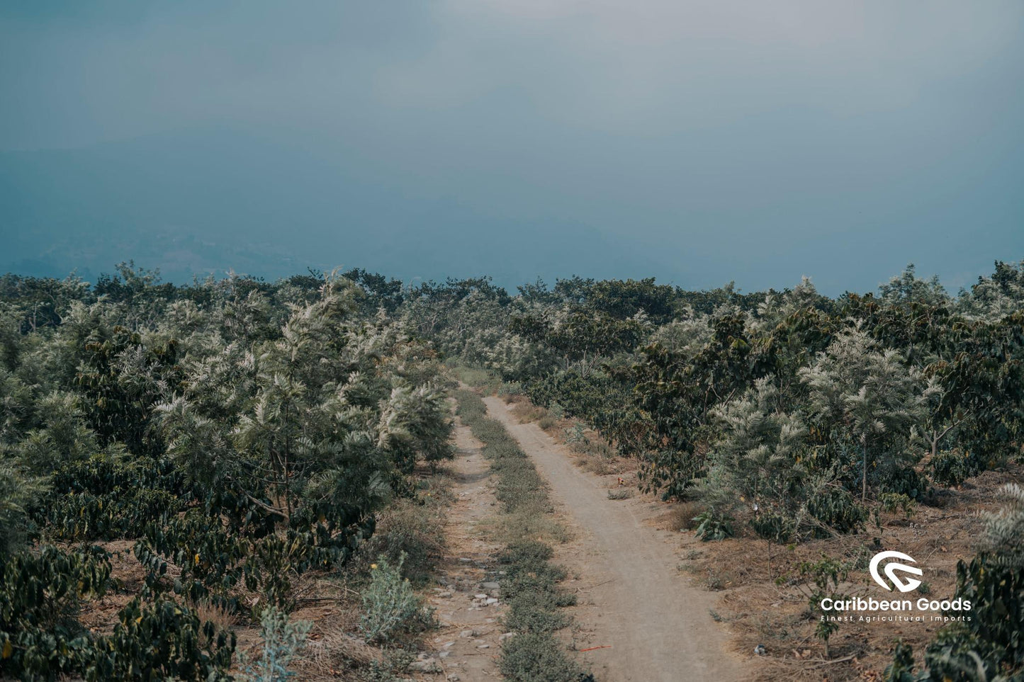 La Concepcion, Guatemala