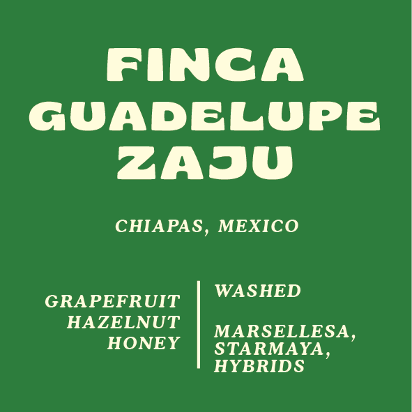Finca Guadelupe Zaju, Mexico