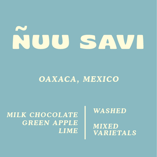 Ñuu Savi, Mexico