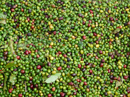 Finca La Loma, Colombia