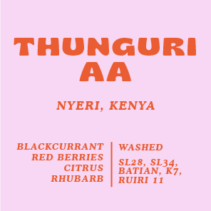 Thunguri AA, Kenya