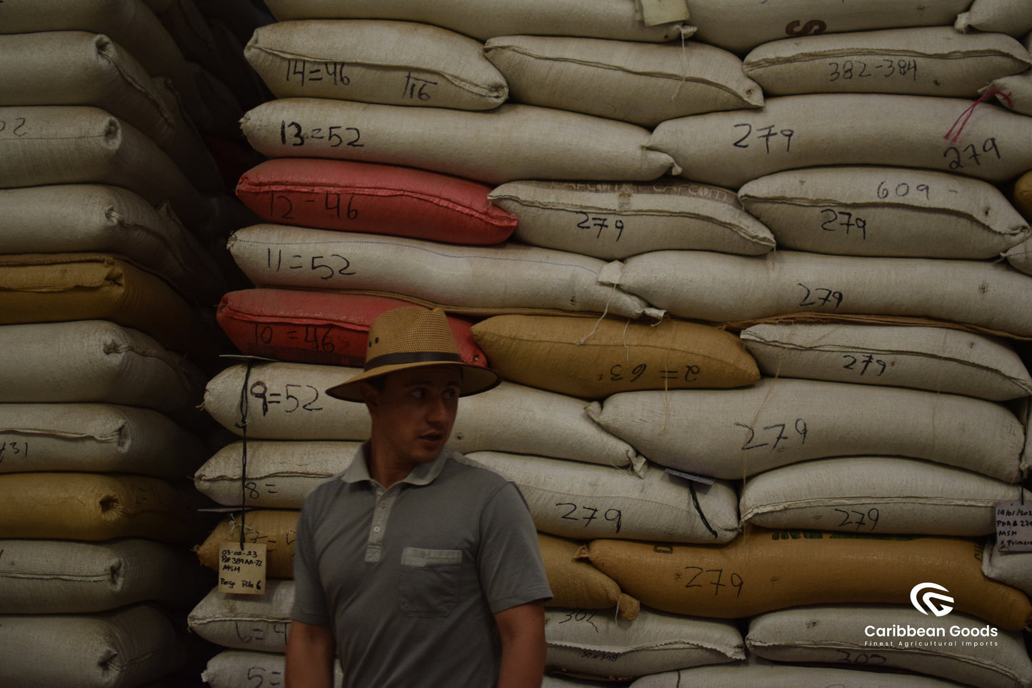 Finca Medina, Guatemala