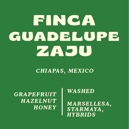 Finca Guadelupe Zaju, Mexico